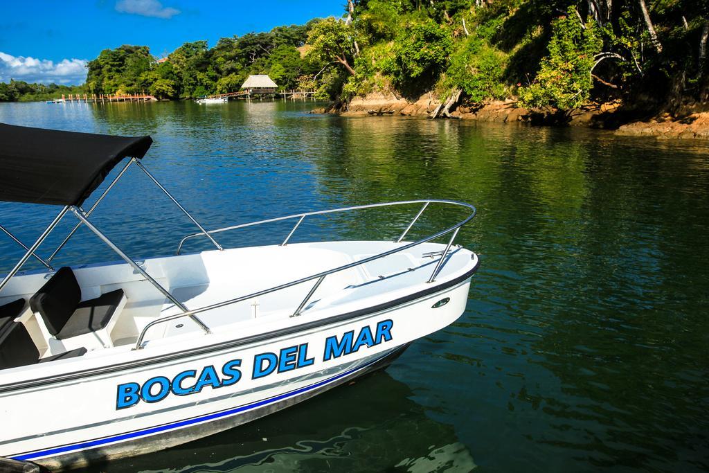 Bocas Del Mar 호텔 보카 치카 외부 사진